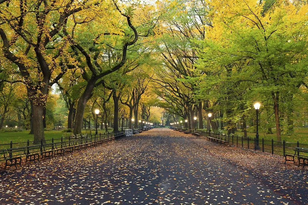 ***  Hudson Central Park, A Morgans Hotel New York États-Unis